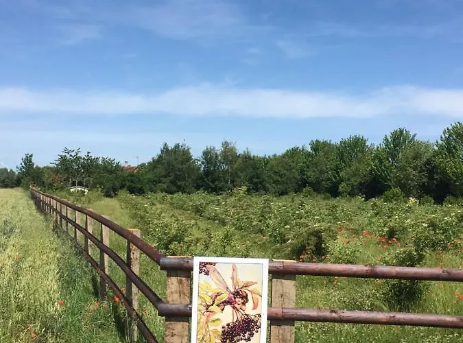 La Suzannerie Alojamento de Acomodação e Pequeno-almoço Vivoin